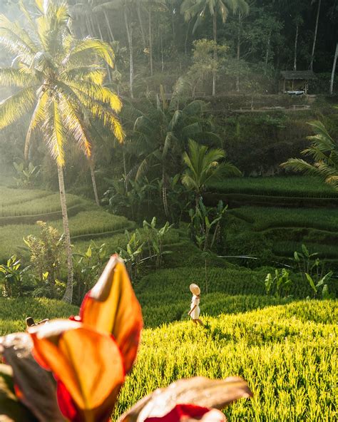 Mau Refreshing 8 Spot Asri Di Bali Ini Dijamin Bikin Seger Indonesia Travel