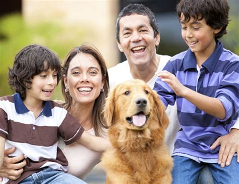 ¿cuáles Son Los Beneficios De Contar Con Una Mascota En La Familia