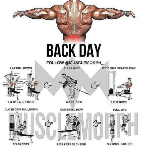 Pin by ЛЕХА on Fitness Back workout bodybuilding Back workout men Workout programs