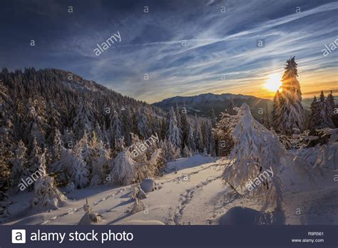 Beautiful Winter Scene Landscape At Sunset Great Winterscape