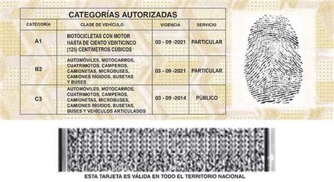 Todo Lo Que Debes Saber Sobre Licencias De Conducción Expomotor 2023