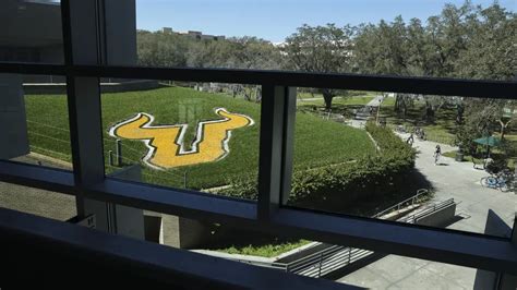 Usf Seeking More Stature Says 50m From State Would Go A Long Way