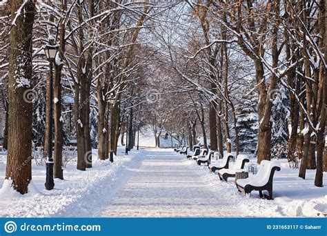 Row Of Red Benches In The Park In The Snow In Winter Stock Image