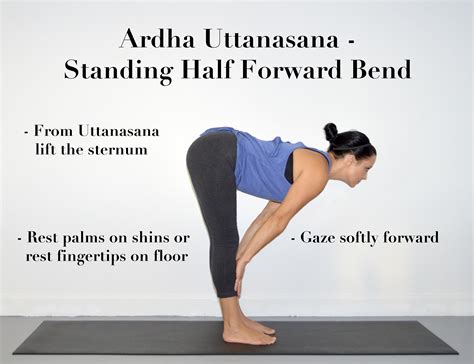 Ardha Uttanasana-Half Forward Fold | Yoga tips, Forward fold, Forward bend