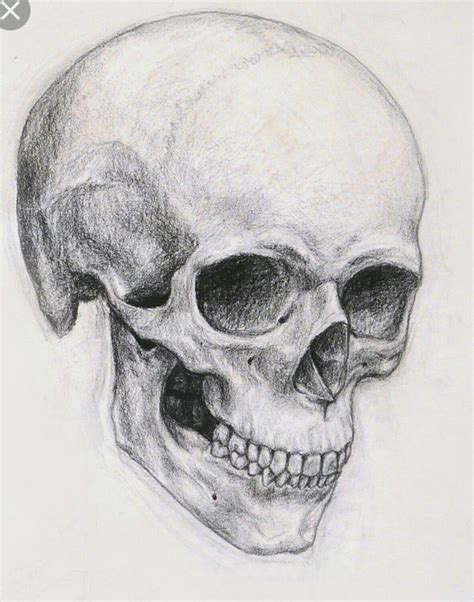 Pin By Jennyfer Franco On Sketch Skull Drawing Sketches Skull Sketch