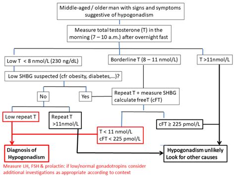 Example Of Flow Chart For Diagnosis Of Hypogonadism In Middle Aged And