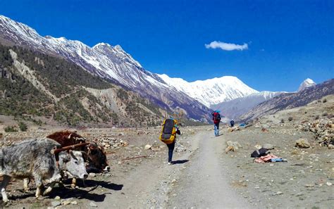 Top 5 Treks To Do In Summer In Nepal Nepal Treks Himalayan Smile Treks