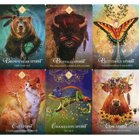 Oracle Cards The Spirit Animal By Colette Baron Reid Healing Light