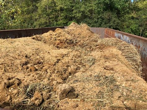 Free Horse Manure For Pick Up Growing Franklin