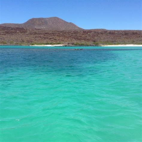 Loreto Bay National Marine Park Mexico Top Tips Before You Go