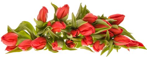 Bouquet Of Flowers Png Images Rose Tulip Flower Wedding Bouquet