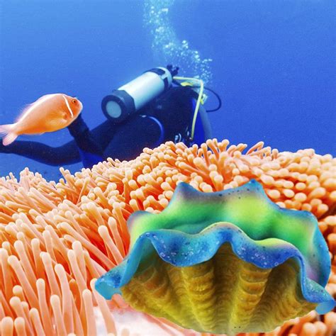 Aquarium Decorative Simulation Shellfish Beanfish Silicone Artificial