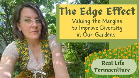 The Edge Effect How To Value The Margins And Enhance Garden