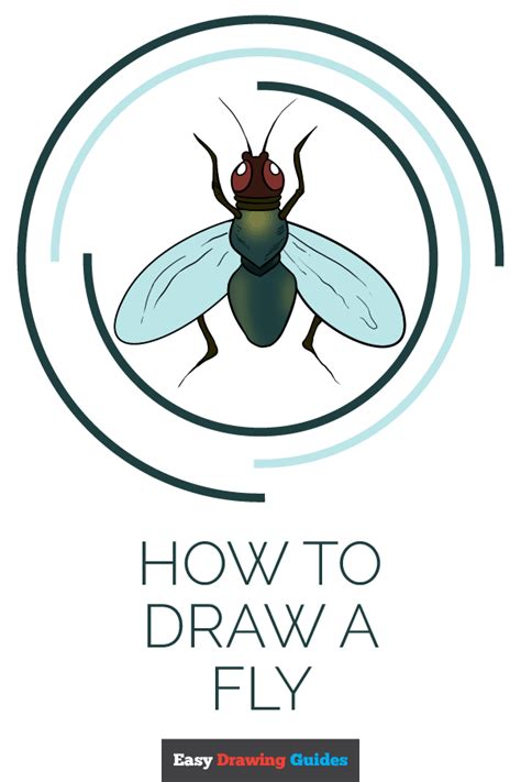 How To Draw A Fly Really Easy Drawing Tutorial