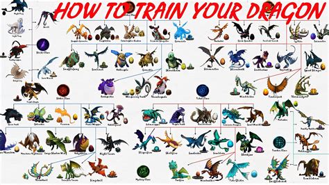 How To Train Your Dragon Dragons Dragon Classes And Eggs Youtube
