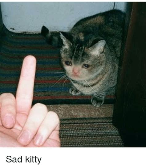 Download Sad Cat Face Meme Png And  Base