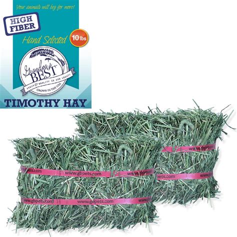 Grandpas Best Timothy Hay Mini Bale For Small Animals 10lb
