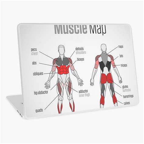 Muscle Map Laptop Skin For Sale By Superfitstuff Redbubble