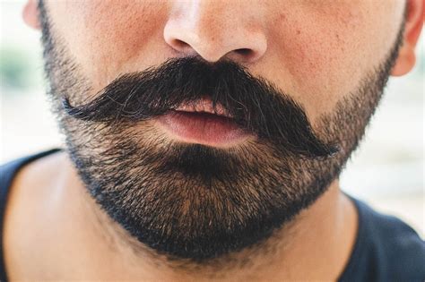 Top 15 Stubble Beard Styles For Men How To Guide Examples • The