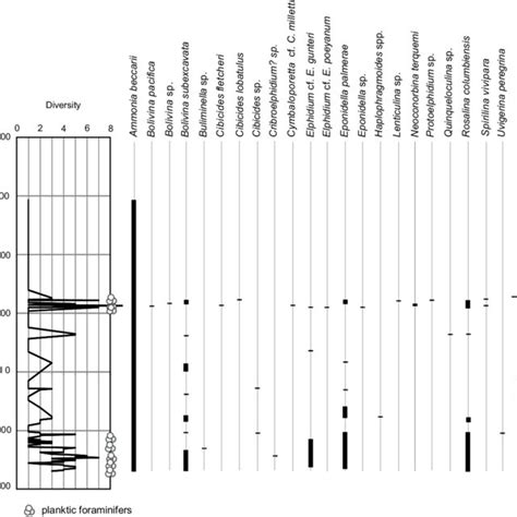 Diversity Speciessample And Distribution Of Benthic Foraminiferal