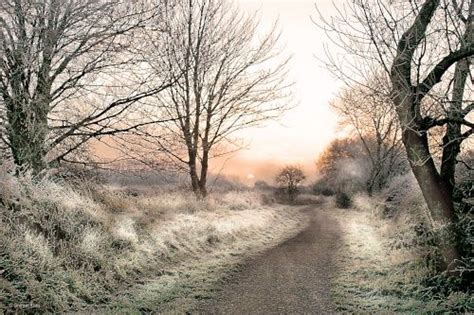 English Countryside Pictures Of England Frosty Mist North Dorset