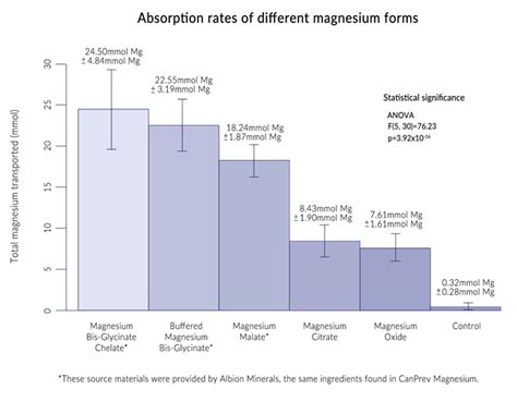 Magnesium Absorption Introduction To How Magnesium Is Absorbed