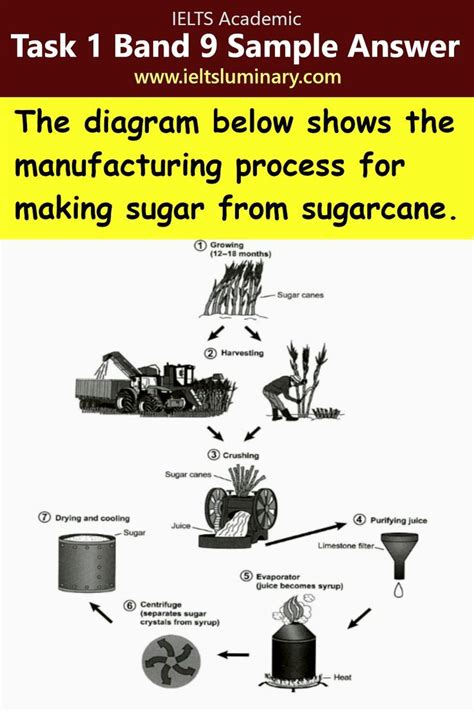 Manufacturing Process For Making Sugar From Sugar Cane Task Process Diagram Band Sample