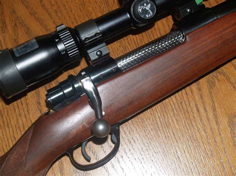 Leblanc Modern Hunting Rifles And Ammuniton