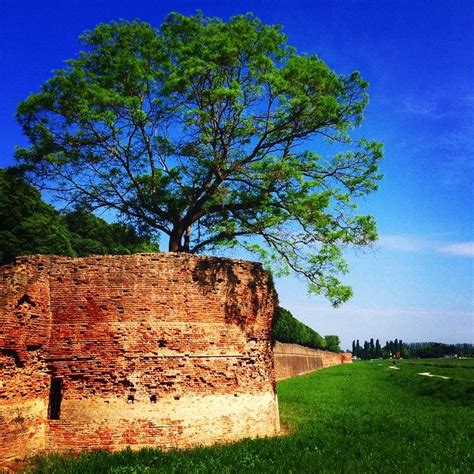 The Walls Of ‪‎ferrara‬ Immersed In Their Green Park