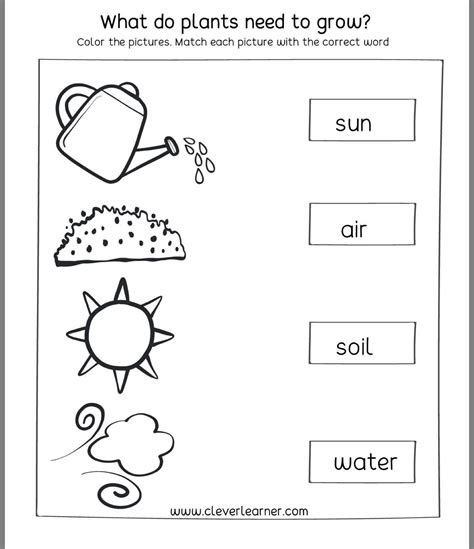 1st Grade Science Made Easy Printable Worksheets For Fun And Learning
