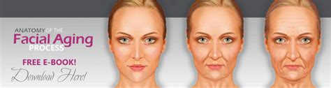 Anatomy Of The Facial Aging Process Belred Cosmetic Surgery