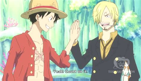 Relationship Between Sanji And Luffy One Piece