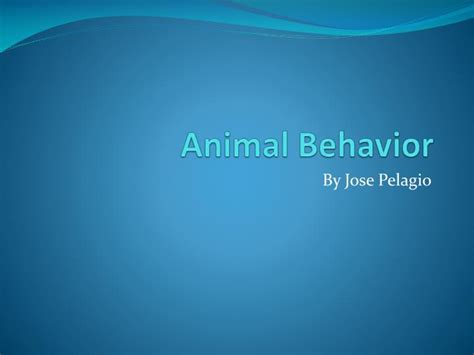 Ppt Animal Behavior Powerpoint Presentation Free Download Id1881124