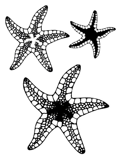On this page, you will find colouring images of fishes. Free Printable Starfish Coloring Pages For Kids | Starfish ...