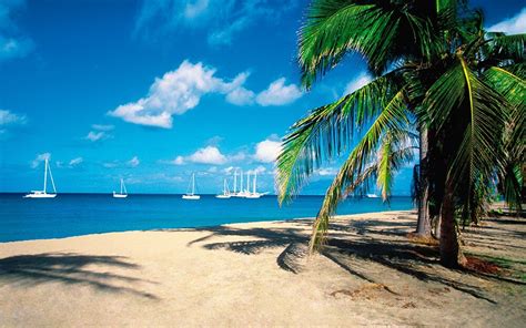 The Best Beaches In Nevis Telegraph Travel