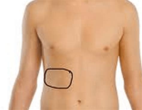 Muscle spasms felt within the rib cage may also be caused by the abdominal muscles. Muscles Over Rib Cage Hurt - Rib Pain Covid 19 Coronavirus ...