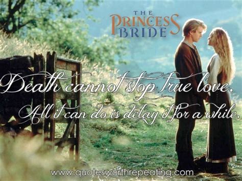 You have probably watched the princess bride countless times and can quote all of your favorite lines verbatim, but here patinkin loves hearing the line and is happy about his role in the movie. Romantic Princess Bride Quotes. QuotesGram