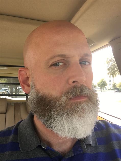 bald and gray beard bald with beard grey beards shaved head with beard