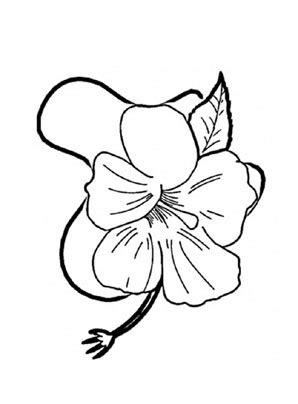 Blumen sind ein wichtiger bestandteil in der trauerkultur. Ausmalbilder Hibiskus 1 - Blumen Malvorlagen ausmalen