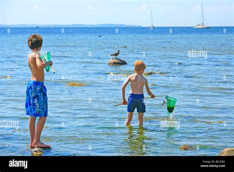 Two Young Boys Trying To Catch Fish With A Dip Net Stock Photo Alamy