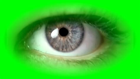 Beautiful Eye Green Screen 👁 Blinking Eyes Green Screen Youtube