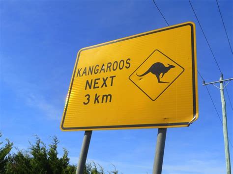 Australia Signs Stop The Car Travel Tales Of Life