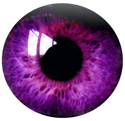 Eyelashes clipart purple eye, Eyelashes purple eye ...