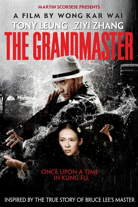 Chang chen, chau yee tsang, chia yung liu and others. The Grandmaster DVD Release Date | Redbox, Netflix, iTunes ...