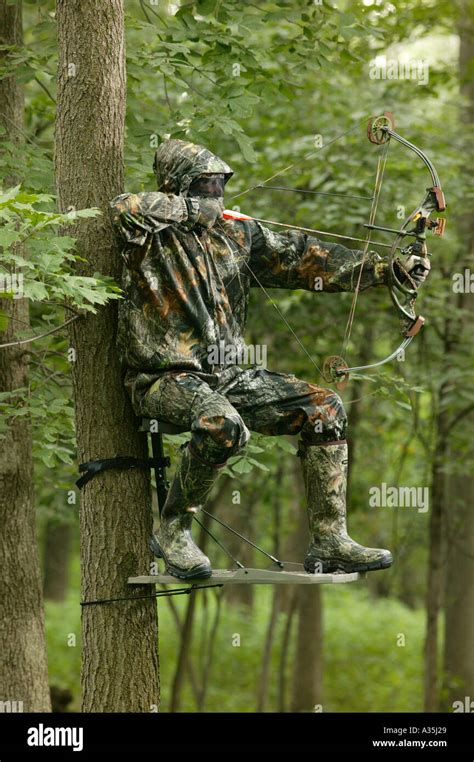Bow Hunter In Camouflage Gear On A Tree Stand With Bow And Arrow Stock