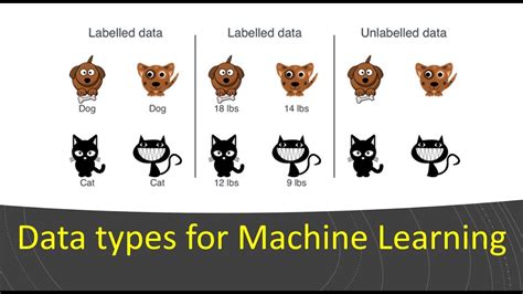 Data Types In Machine Learning Labeled And Unlabeled Datamalayalam