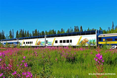 Ride The Alaska Railroad Experience Wild Beauty Day Alaskaorg
