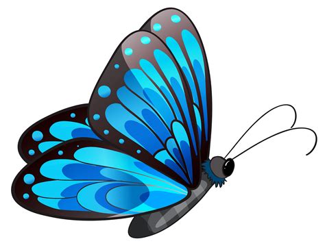 Clip Art Butterfly Clipartiki 2