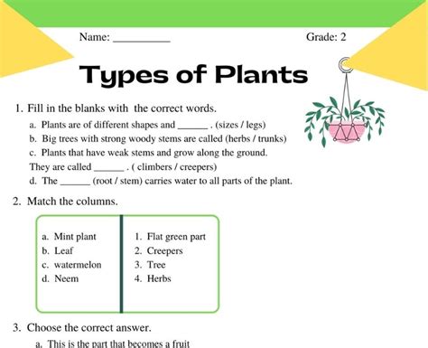 Discover The World Of Plants Types Of Plants Class 2 Worksheet