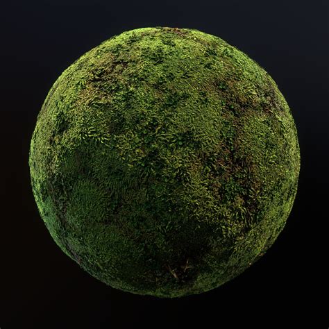Moss Texture — Polycount
